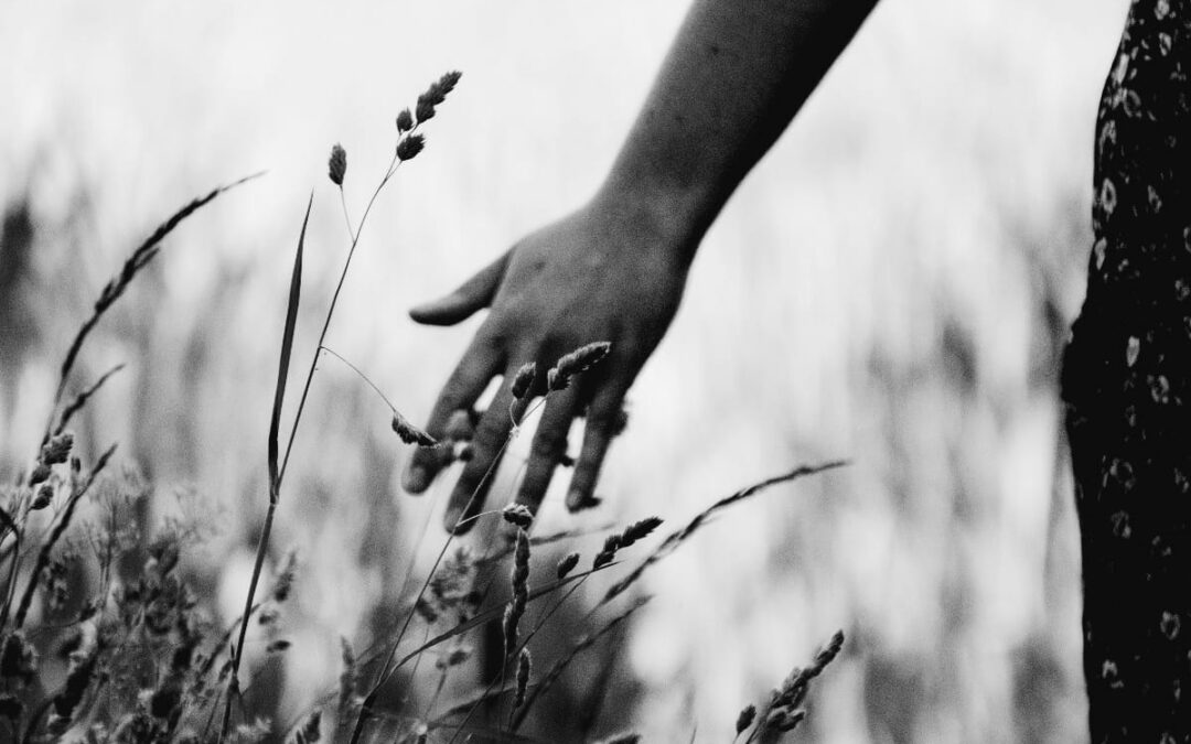 La voie du magnétisme, région Neuchâtel