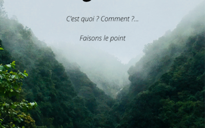 Le magnétisme c&rsquo;est quoi ?